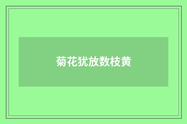 菊花犹放数枝黄