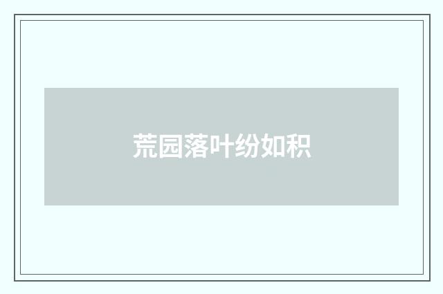 荒园落叶纷如积