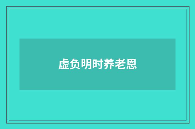虚负明时养老恩