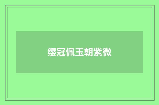 缨冠佩玉朝紫微