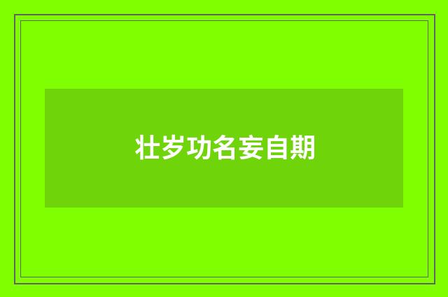 壮岁功名妄自期