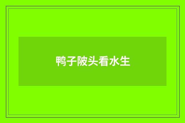 鸭子陂头看水生