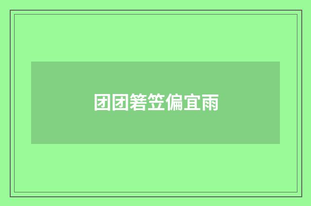 团团箬笠偏宜雨