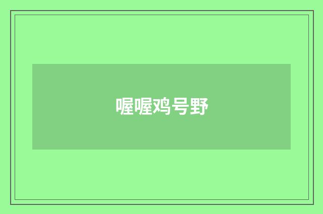 喔喔鸡号野