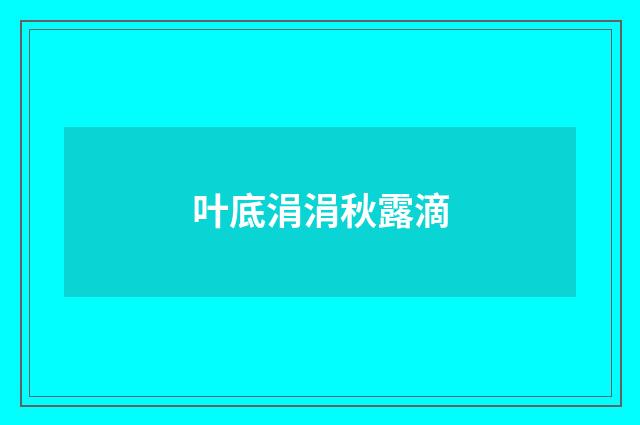 叶底涓涓秋露滴