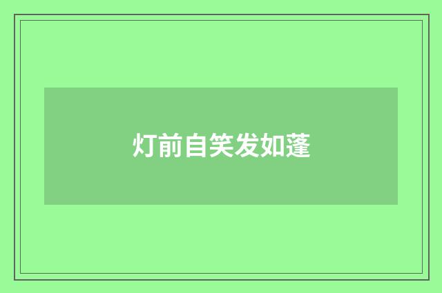 灯前自笑发如蓬