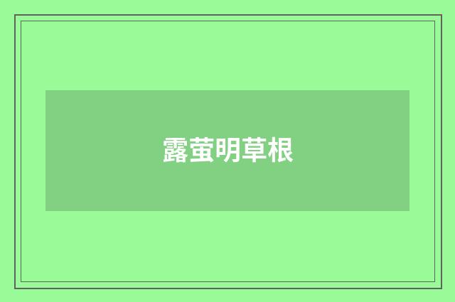 露萤明草根