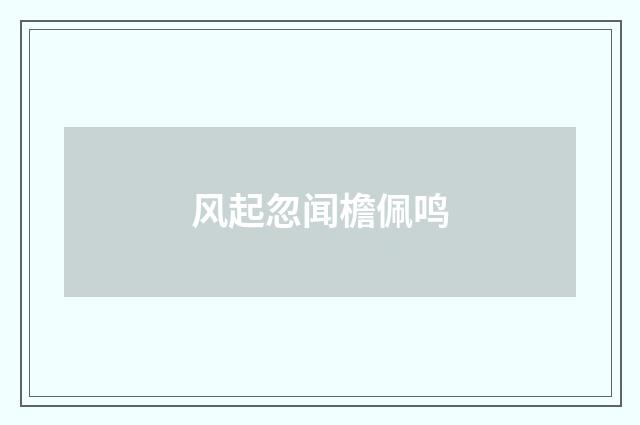 风起忽闻檐佩鸣
