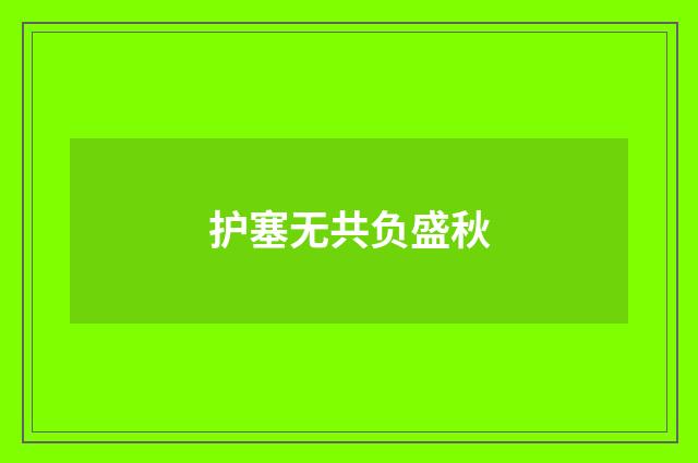 护塞无共负盛秋