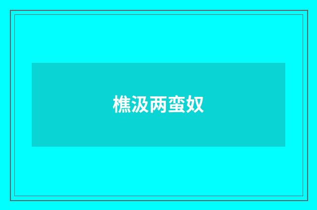 樵汲两蛮奴