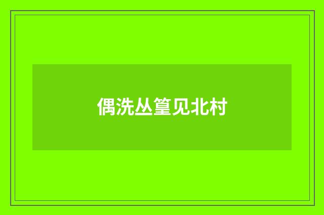 偶洗丛篁见北村