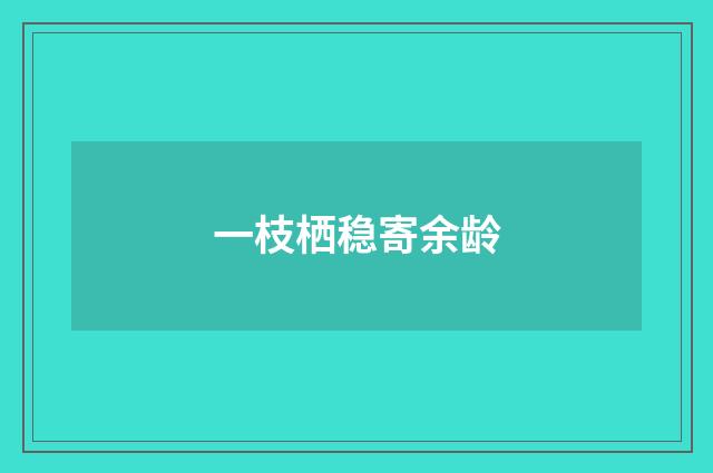 一枝栖稳寄余龄