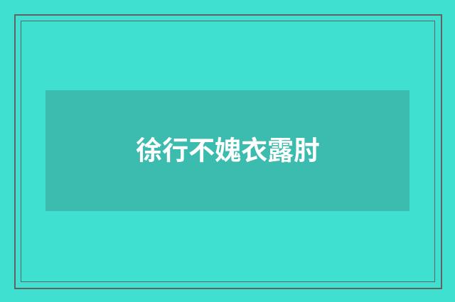 徐行不媿衣露肘