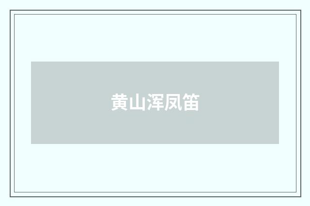 黄山浑凤笛