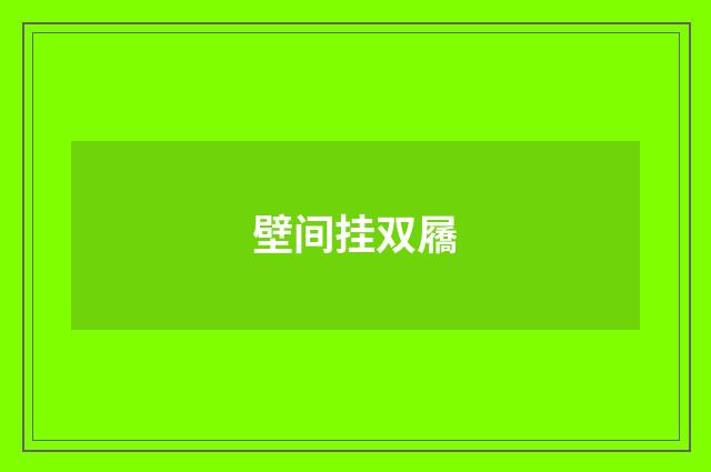 壁间挂双屩