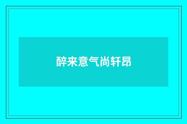 醉来意气尚轩昂