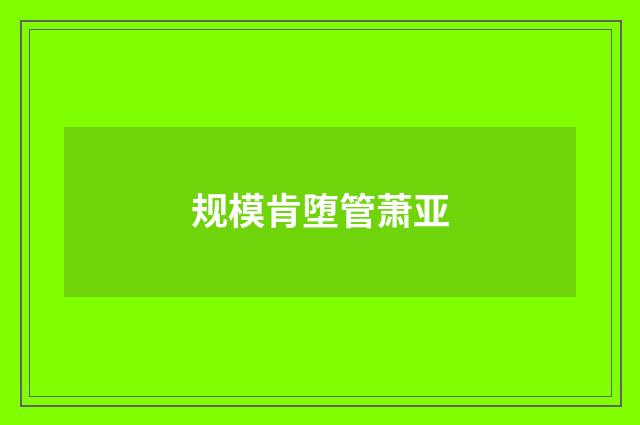 规模肯堕管萧亚