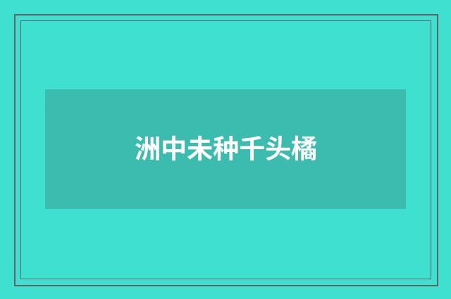 洲中未种千头橘