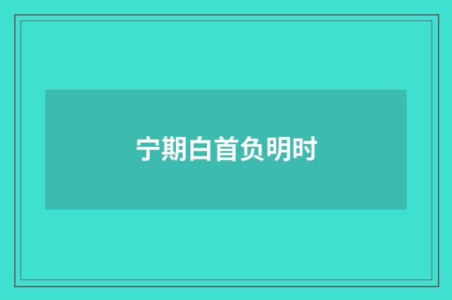 宁期白首负明时