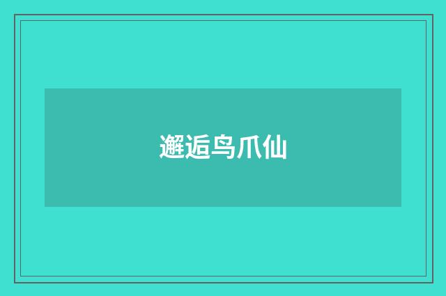 邂逅鸟爪仙