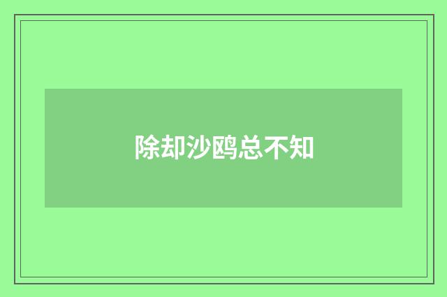 除却沙鸥总不知