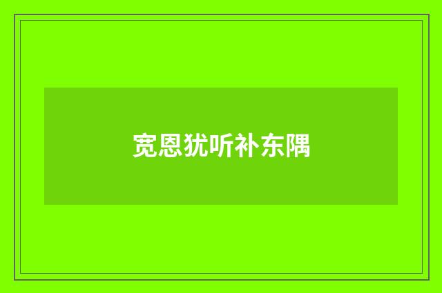 宽恩犹听补东隅