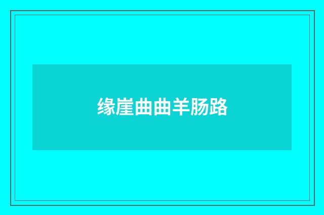 缘崖曲曲羊肠路