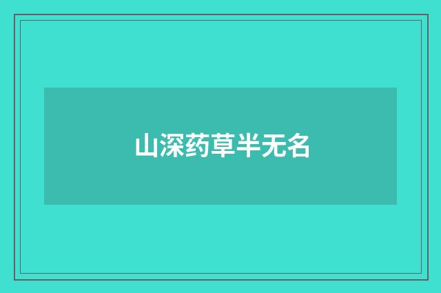 山深药草半无名