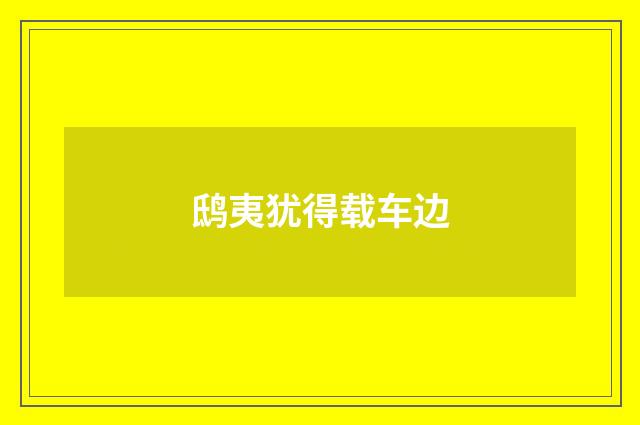 鸱夷犹得载车边