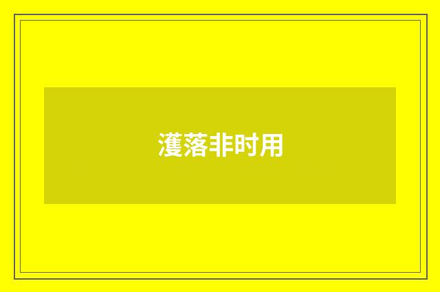 濩落非时用