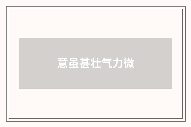 意虽甚壮气力微