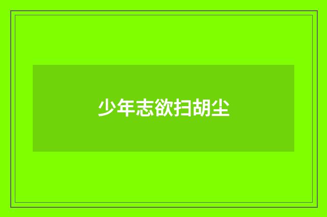 少年志欲扫胡尘