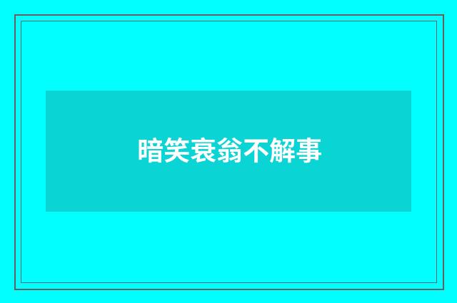 暗笑衰翁不解事