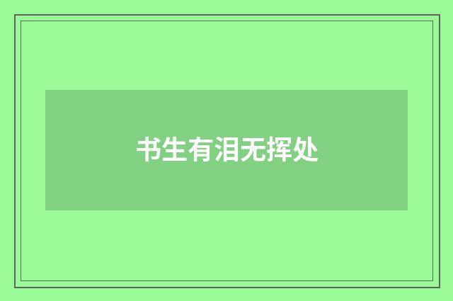 书生有泪无挥处