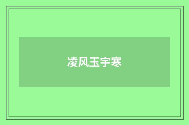 凌风玉宇寒