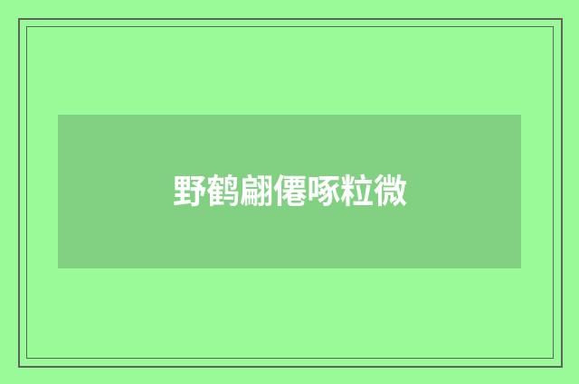 野鹤翩僊啄粒微