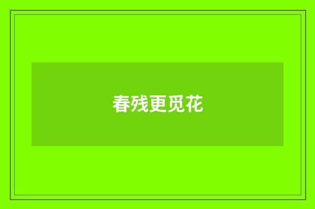 春残更觅花