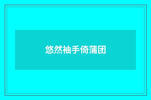 悠然袖手倚蒲团