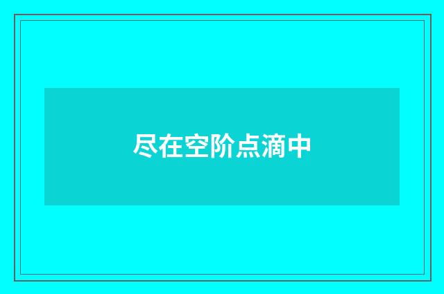 尽在空阶点滴中