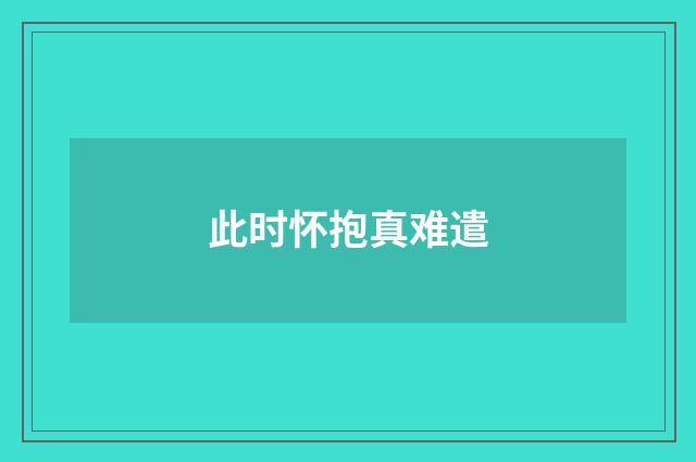 此时怀抱真难遣