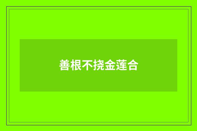 善根不挠金莲合