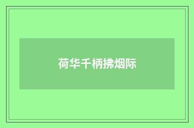 荷华千柄拂烟际