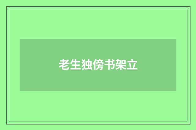 老生独傍书架立