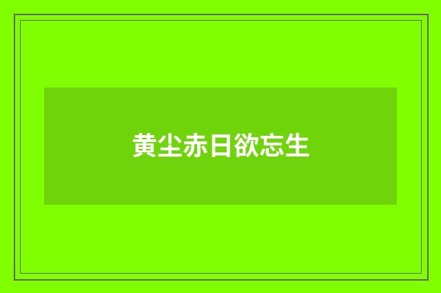 黄尘赤日欲忘生