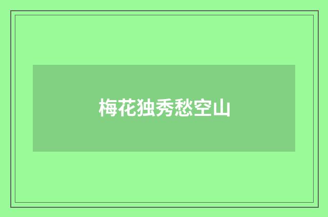 梅花独秀愁空山
