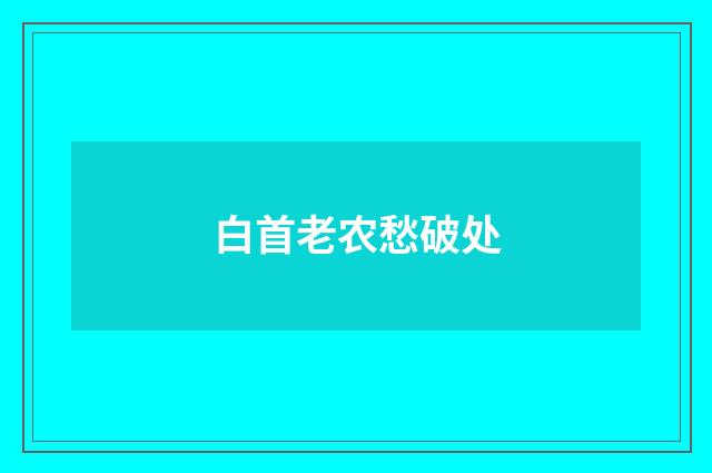 白首老农愁破处