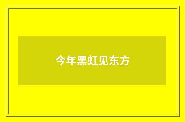今年黑虹见东方