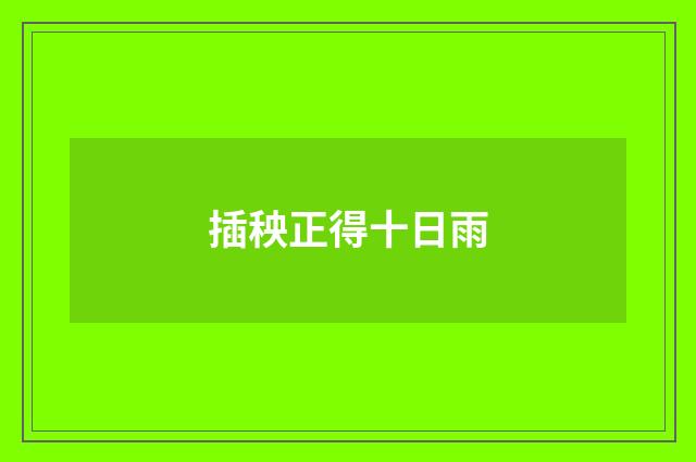 插秧正得十日雨