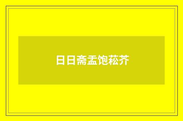 日日斋盂饱菘芥