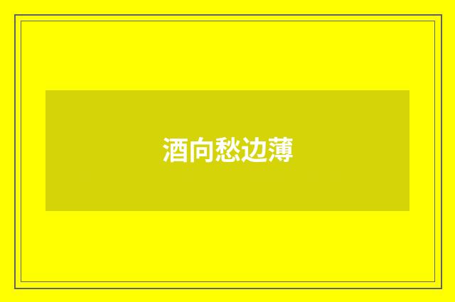 酒向愁边薄